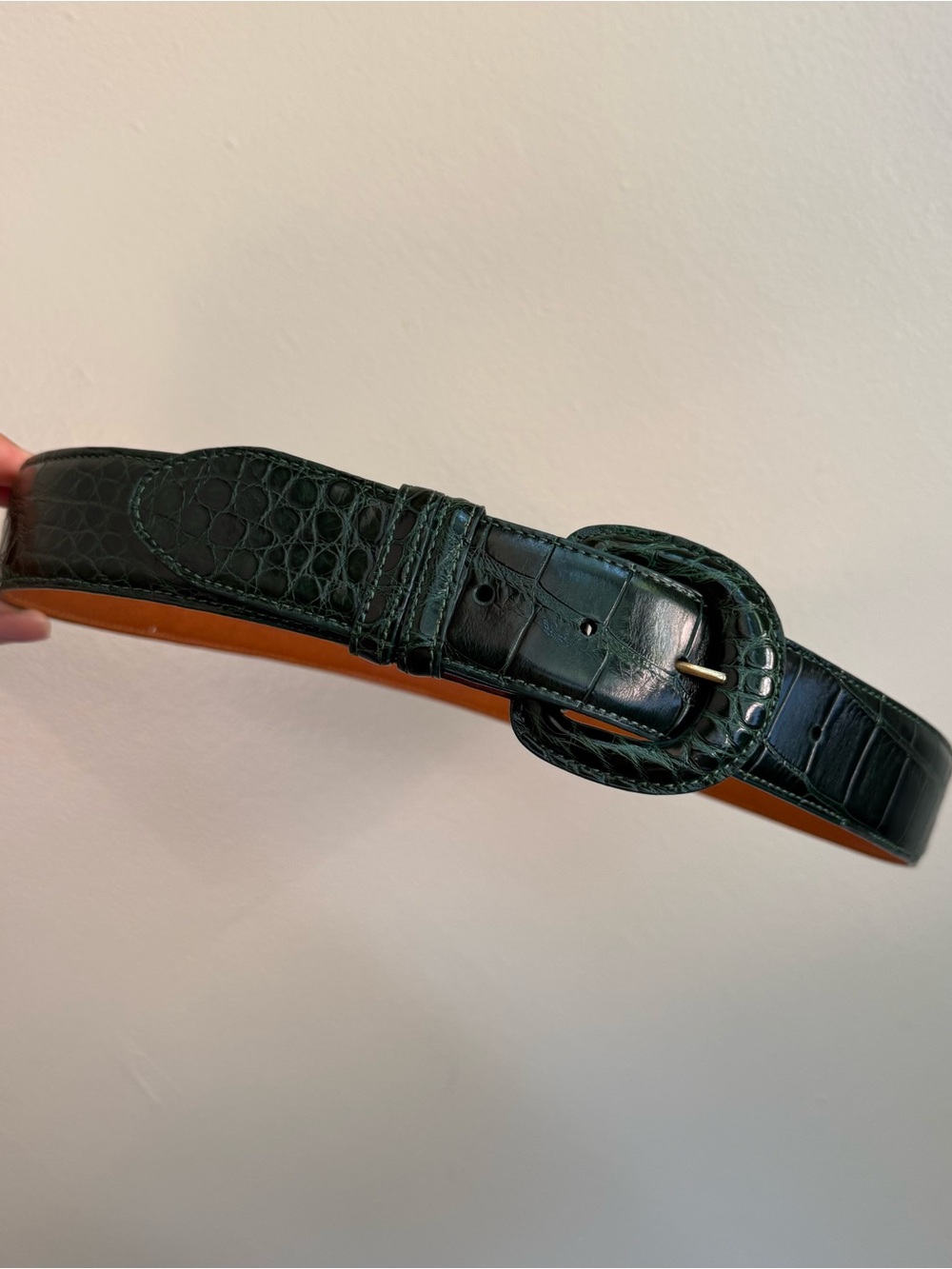 Alligator belt